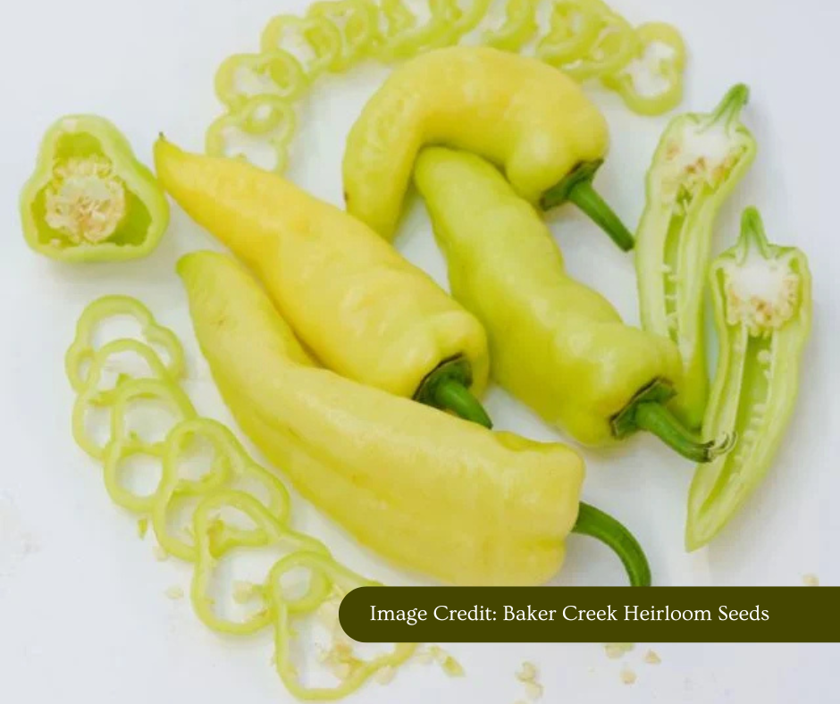 Sweet Banana Sweet Pepper