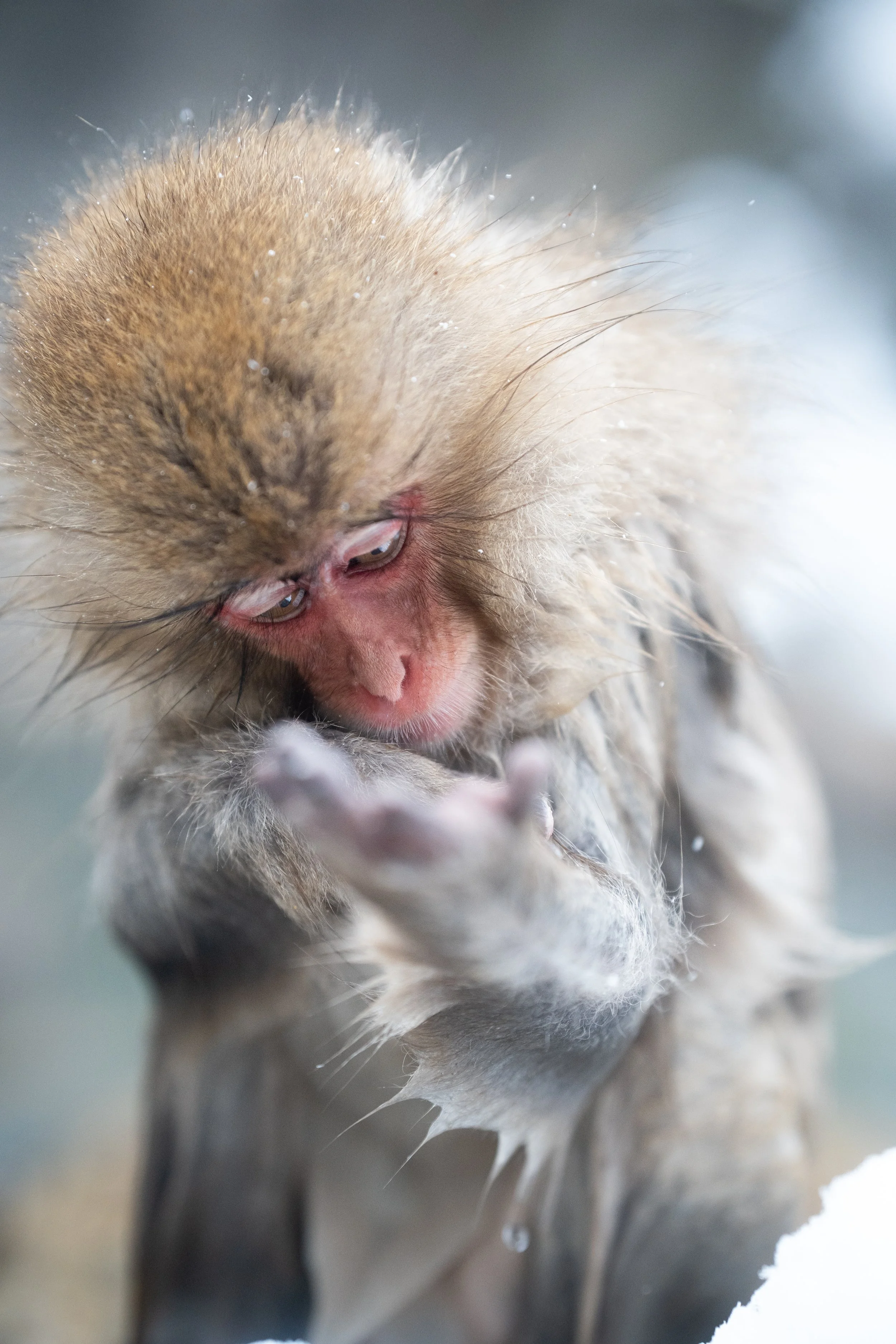 Self Reflection less 20mb.jpeg