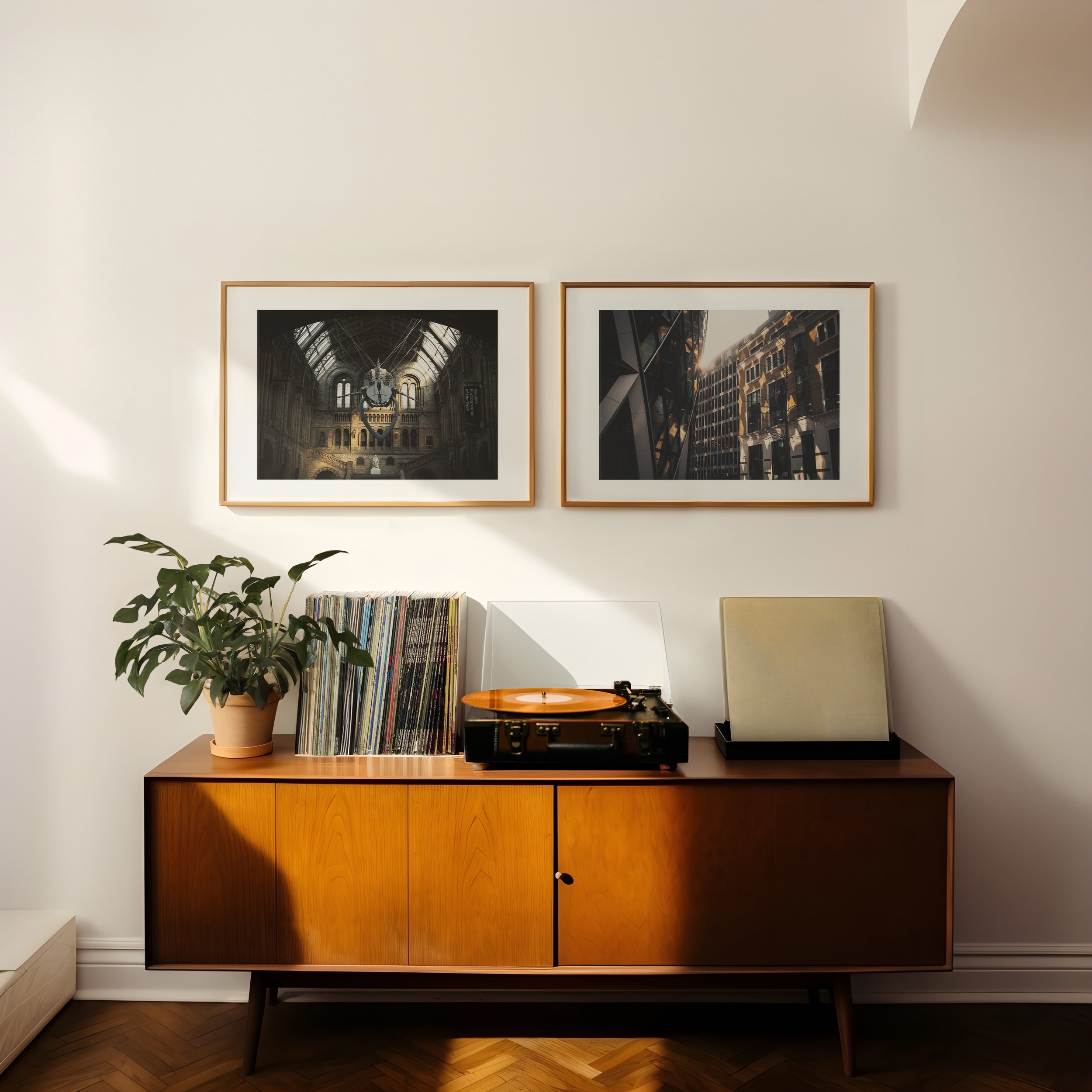 din-a-horizontal-frames-record-player-plant-0108.jpg