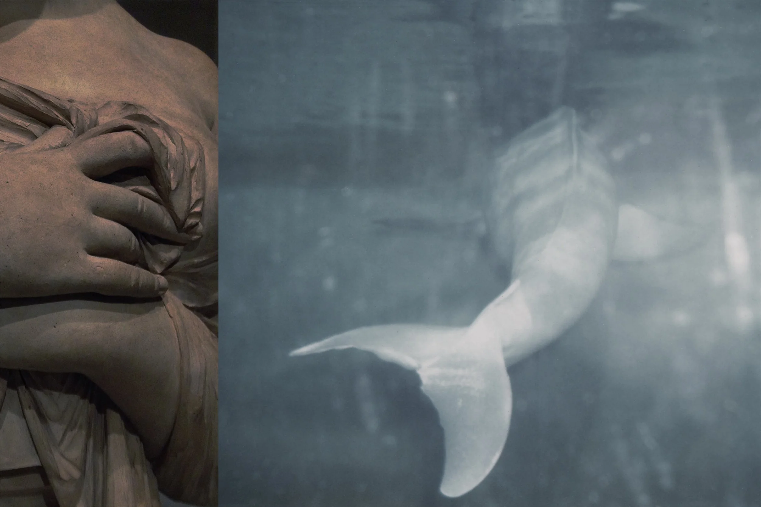 Mad Love- Self Inflicted Wound, 6.667" x 10" ©2014