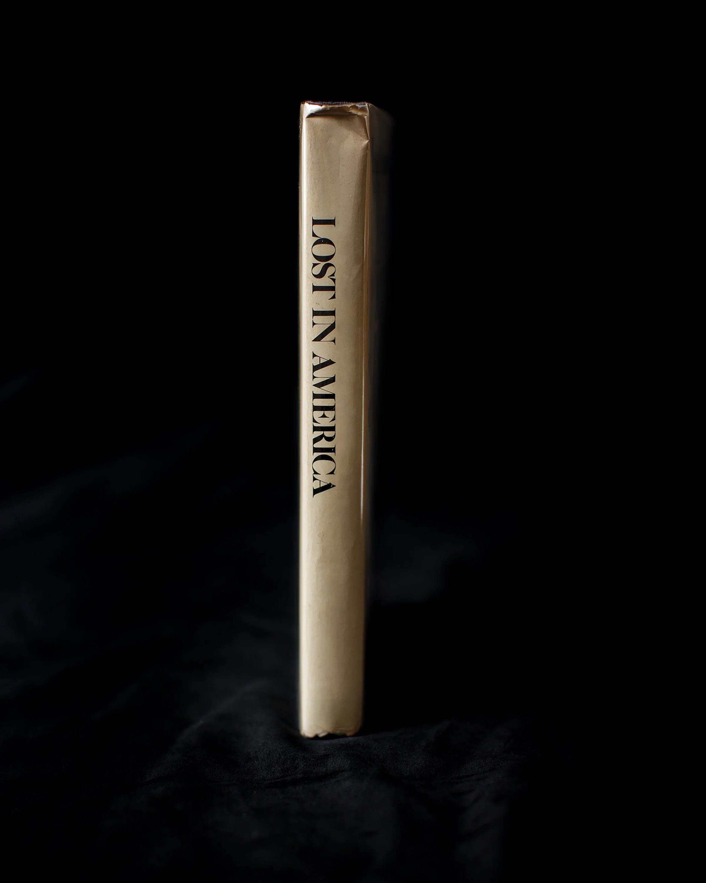 Lost in America, 60" x 48" ©2018