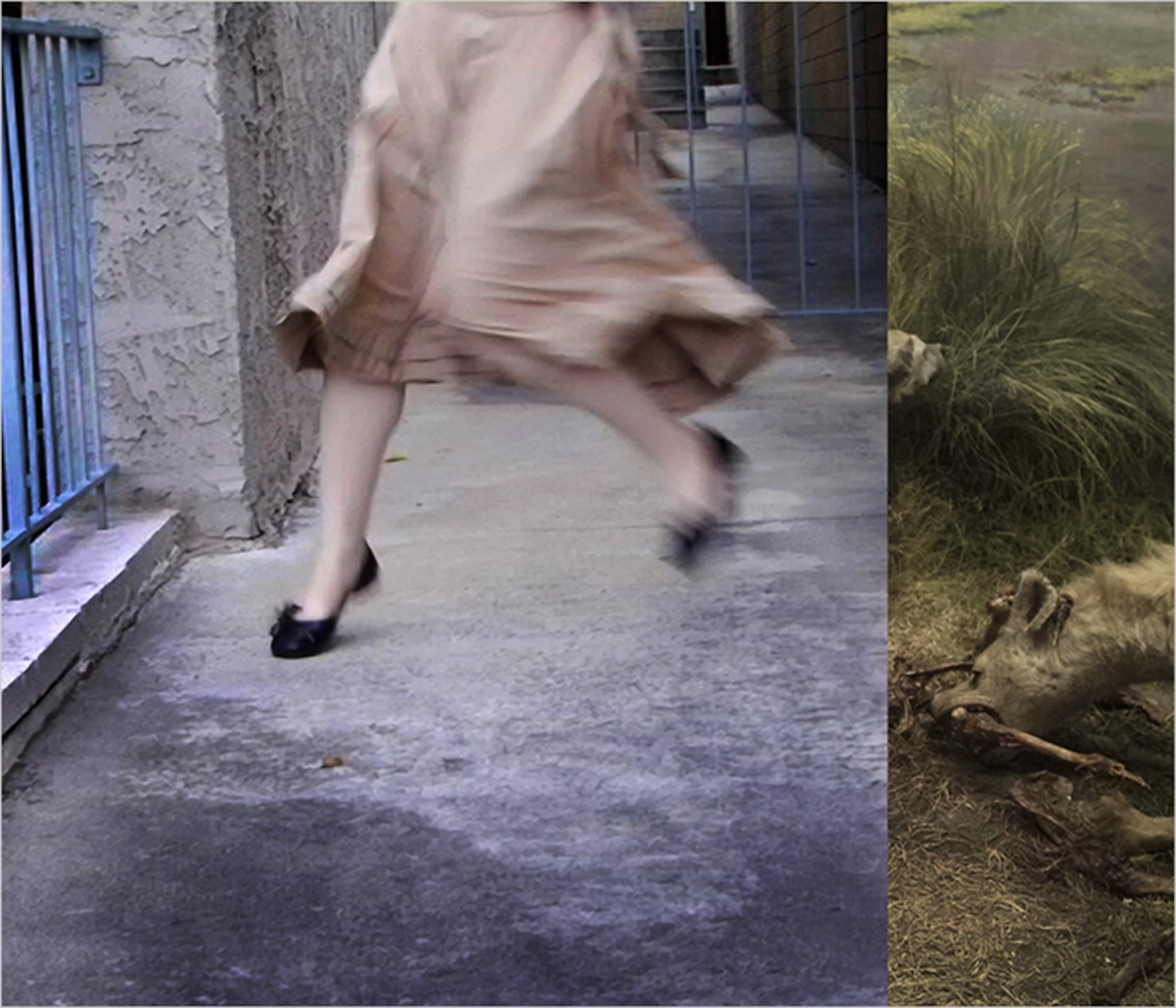 Mad Love- Natural Causes, 9.2" x 7.887" ©2014