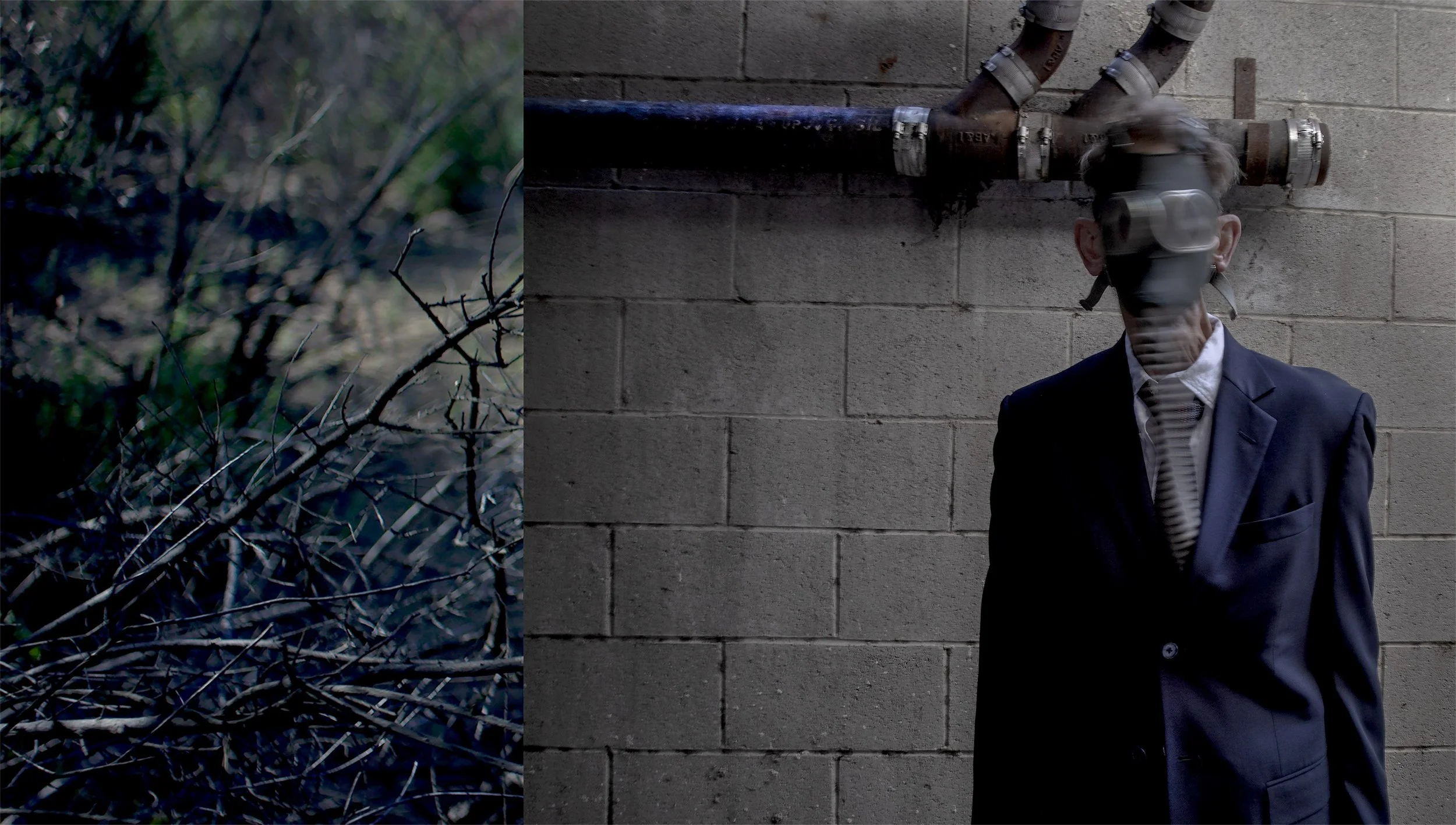 from Kafka's Diary,14.7" x 26" ©2019