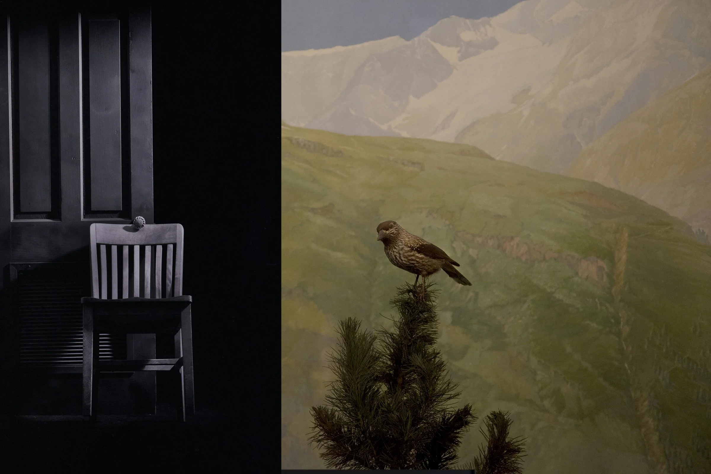 Mad Love-Only a Vague Hope, 6.667" x 10", ©2015