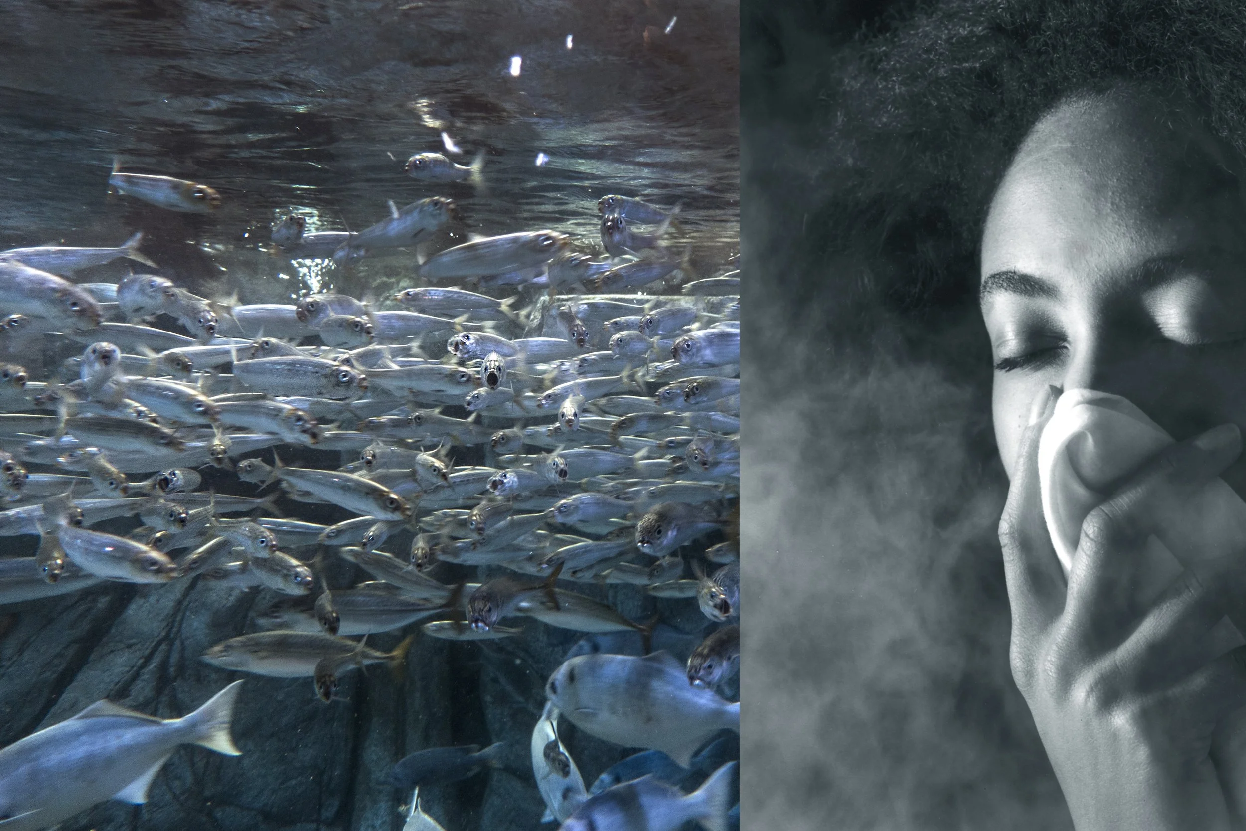 Kafka's Diary, 8.5" x 17", ©2017