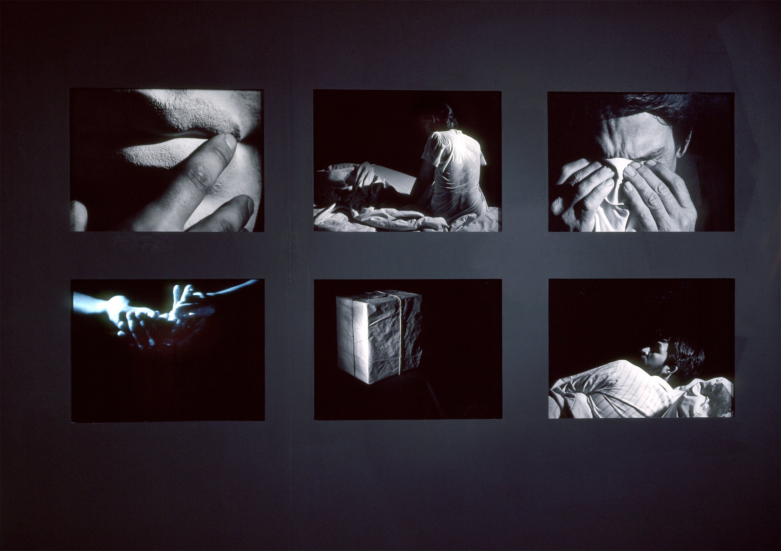 Based on a True Story (video and transparencies) ©1993