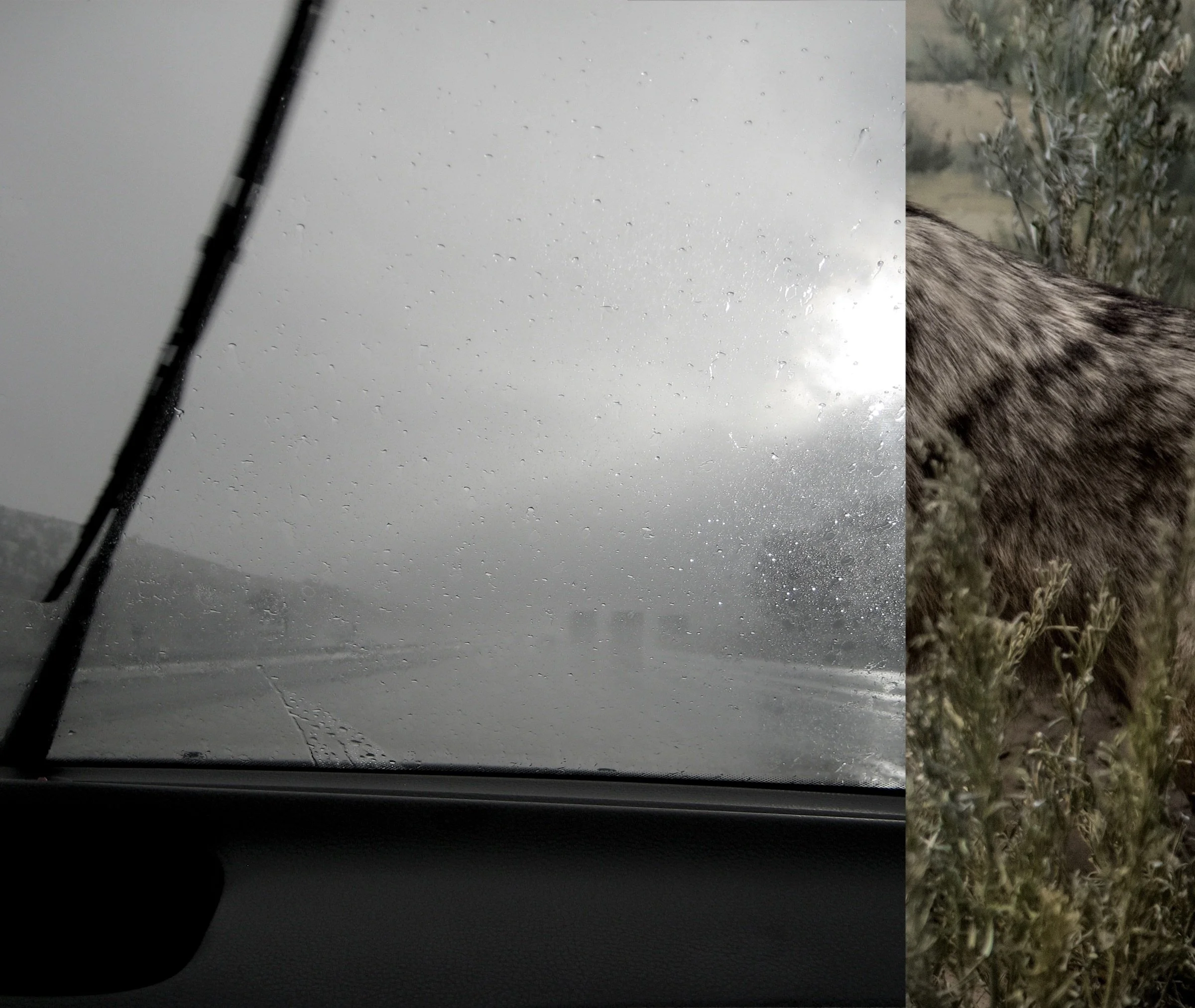 Mad Love-The Dangerous Edge of Things, 9.2" x 7.76" ©2015