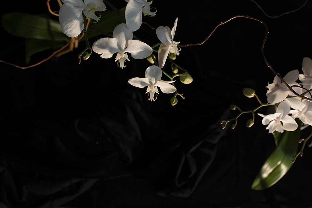 seemingly without end 10 5/8" x 16" 2023