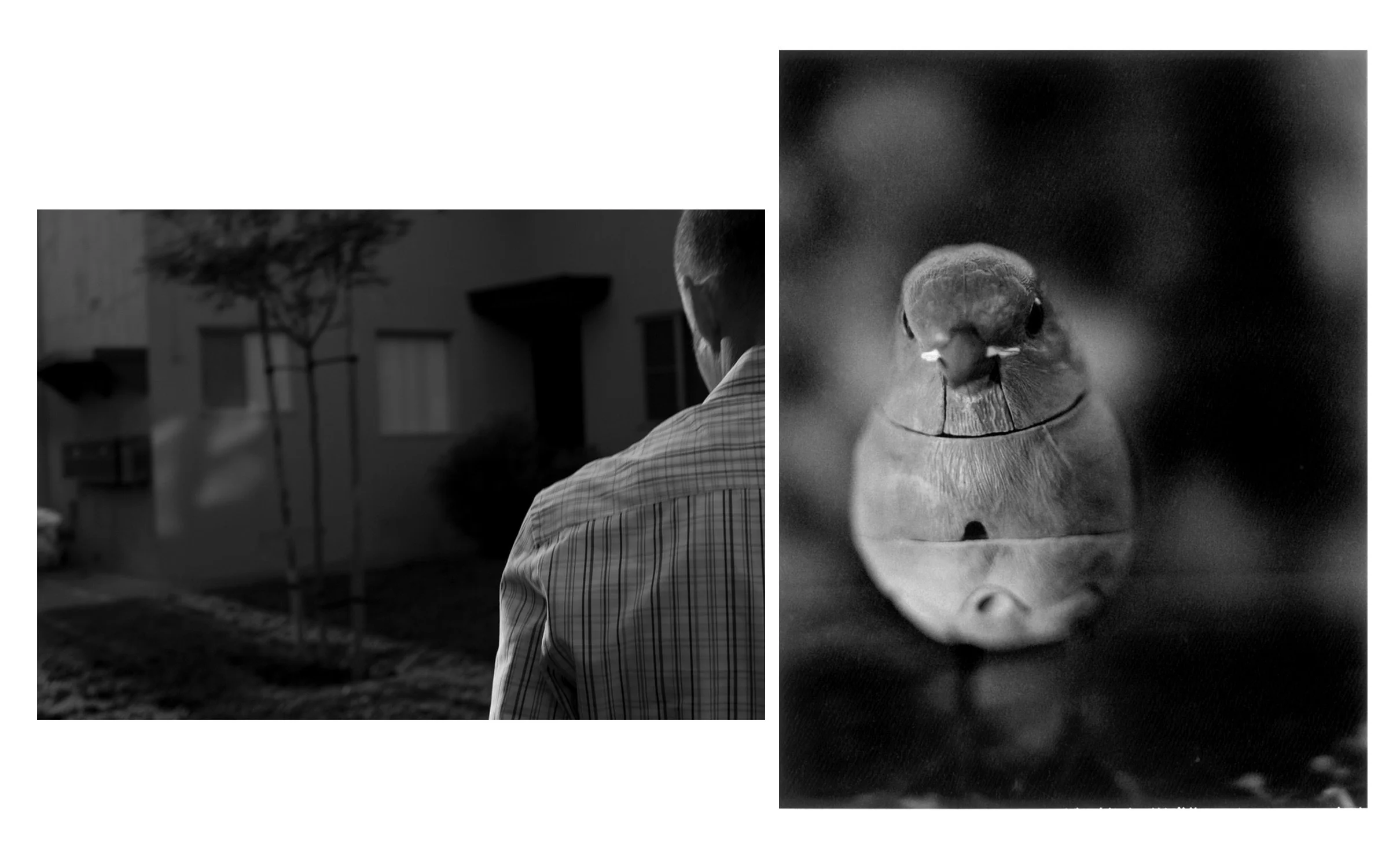 They can turn on us at any minute, 21" x 39", ©2010