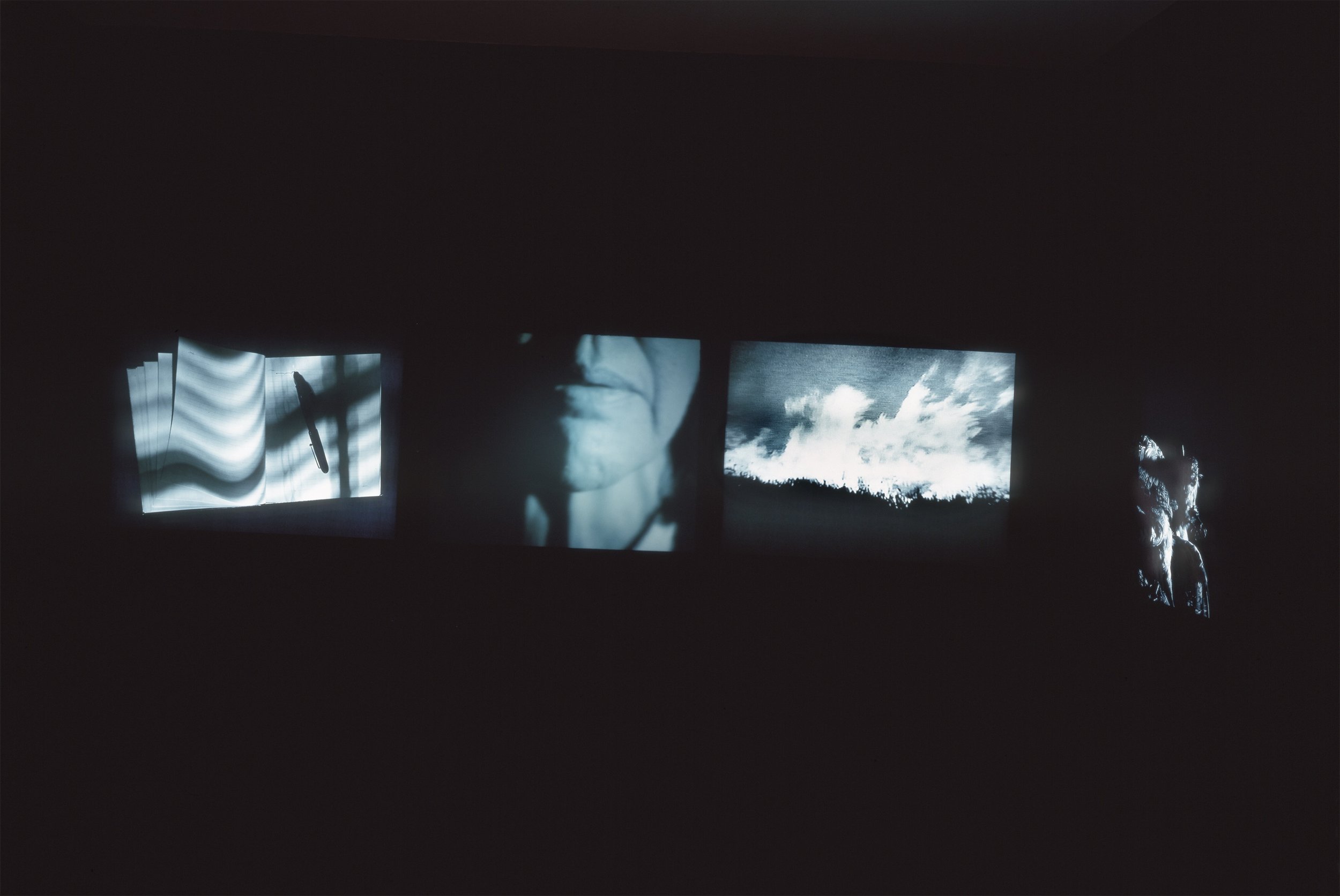 A Form of Ecstasy (video and transparencies) Long Beach Museum of Art ©1994