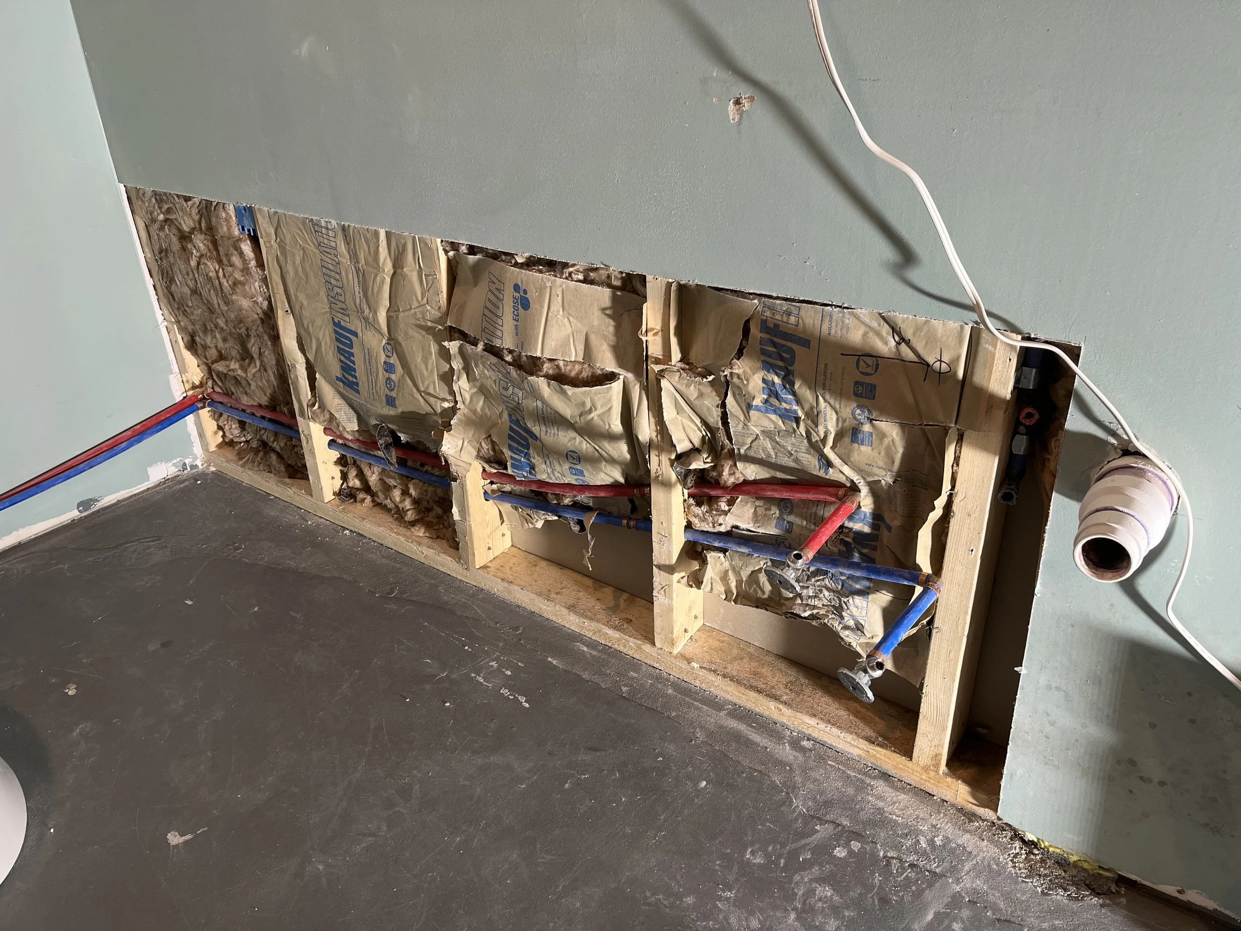 Before drywall repair