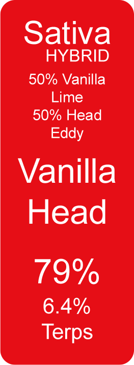 Vanilla Head (Sativa Hybrid)