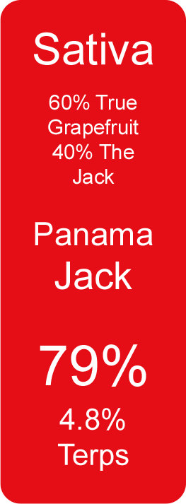 Panama Jack (Sativa)