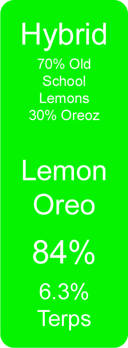 Lemon Oreo (Hybrid)