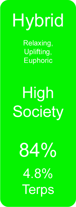 High Society (Hybrid)