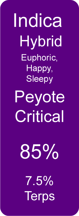 Peyote Critical (Indica Hybrid)