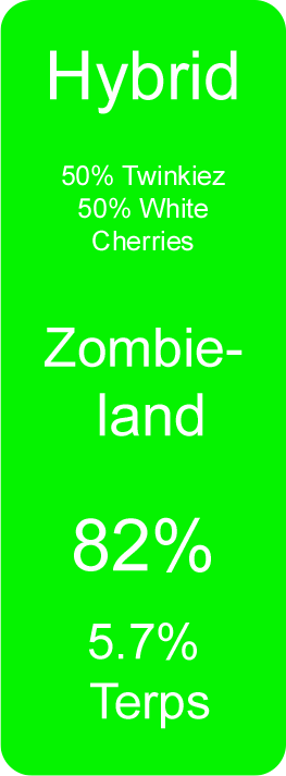Zombieland (Hybrid)