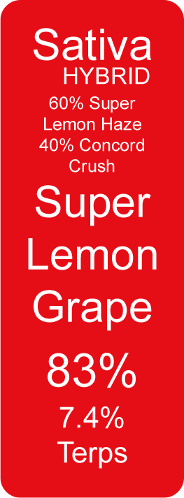 Super Lemon Grape (Sativa Hybrid)