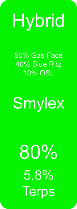 Smylex (Hybrid)