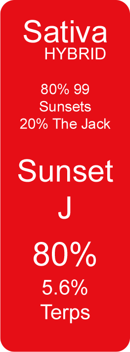 Sunset J (Sativa Hybrid) 