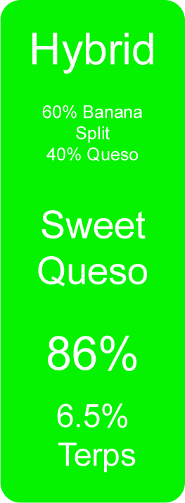 Sweet Queso (Hybrid)