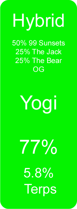 Yogi (Hybrid)