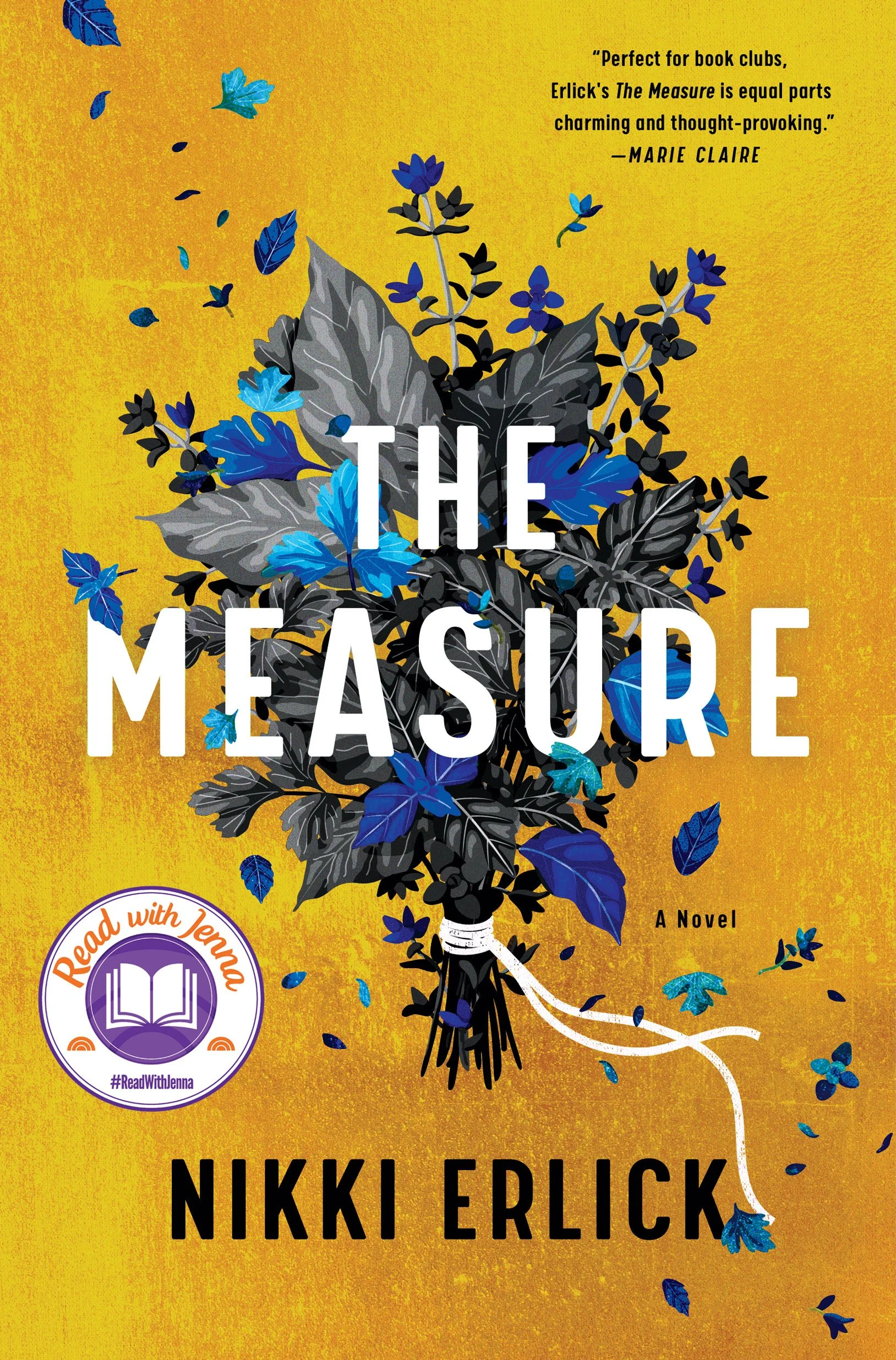 August Book Club: The Measure by Nikki Erlick