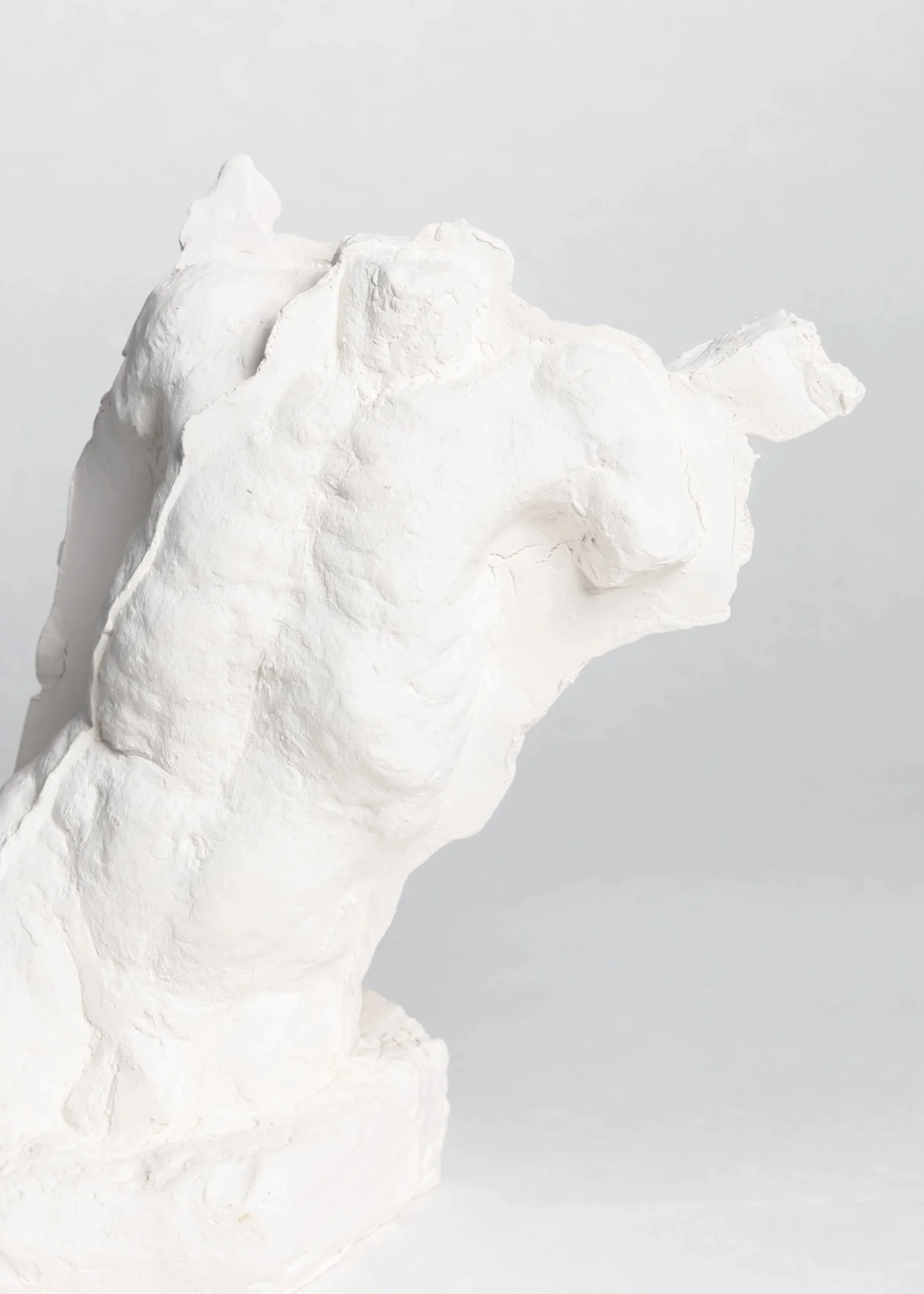 Zane_Sculptures-2.jpg