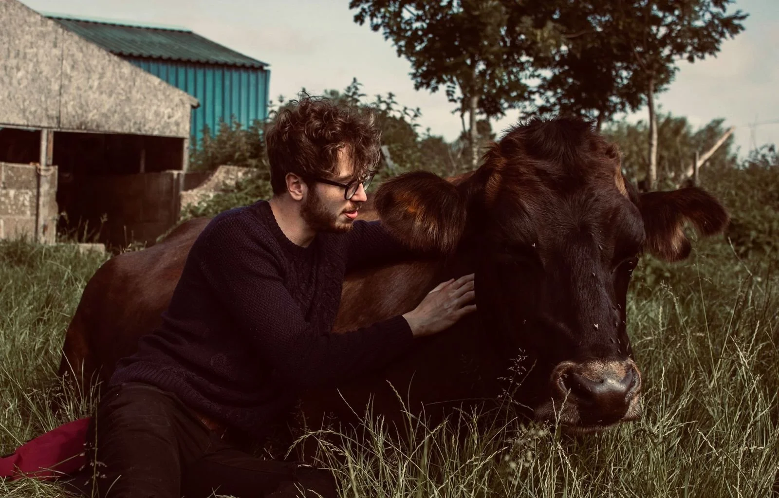 The filmmaker Jack Hancock-Fairs, hugging a brown cow while sitting on the grass