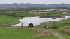 Boone's Ridge — Appalachian Wildlife Foundation