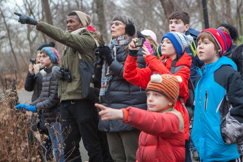 Boone's Ridge — Appalachian Wildlife Foundation