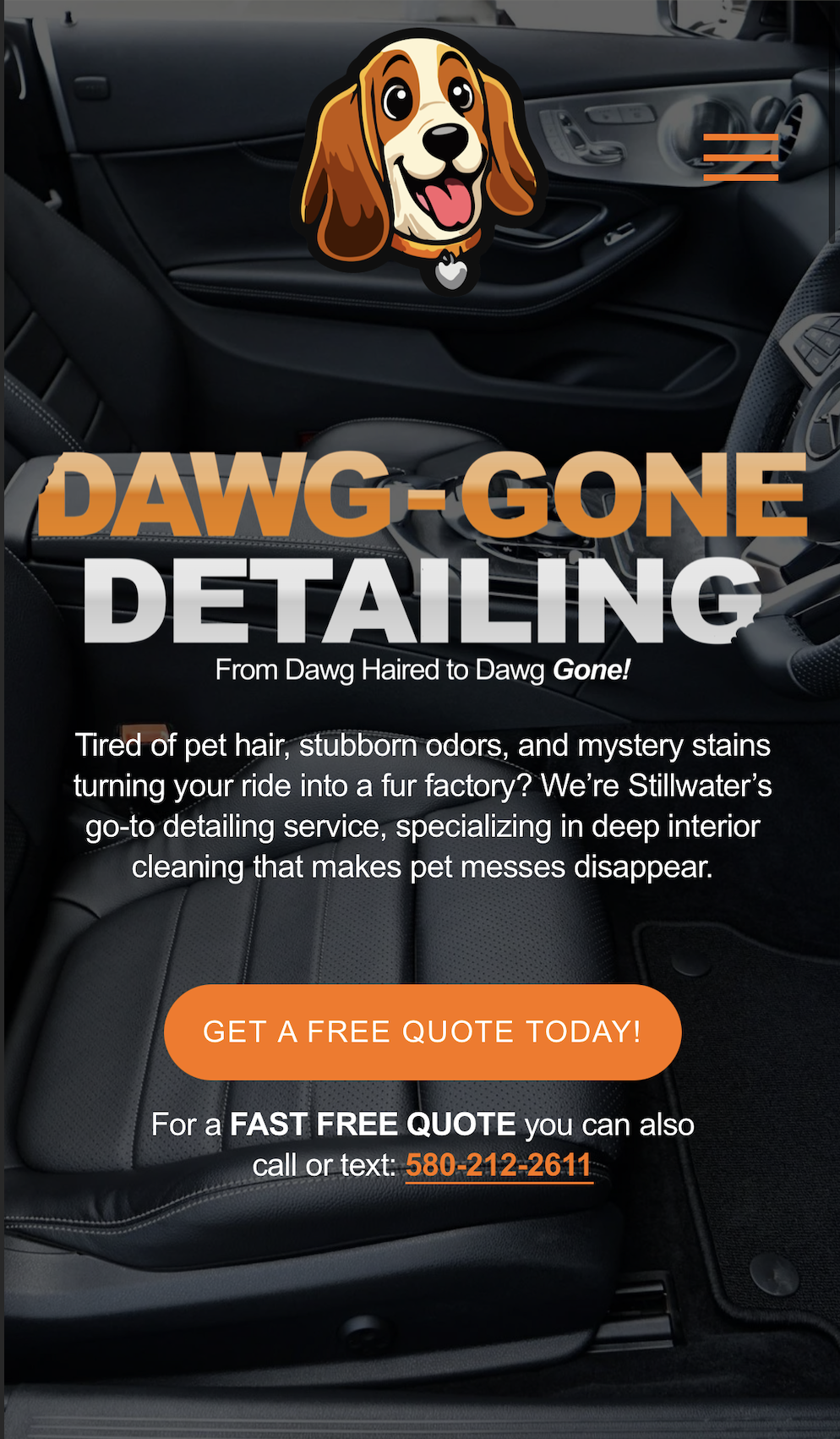 Advertisement for pet hair and odor removal detailing service featuring a background of a car interior, a cartoon dog face, and text highlighting the service and contact information.