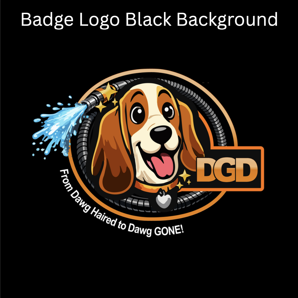 Cartoon dog with long ears and happy expression, wearing a badge with water spray and stars, and the text 'DGD' and 'From Dawo HAIRED to Dawo GONE!'