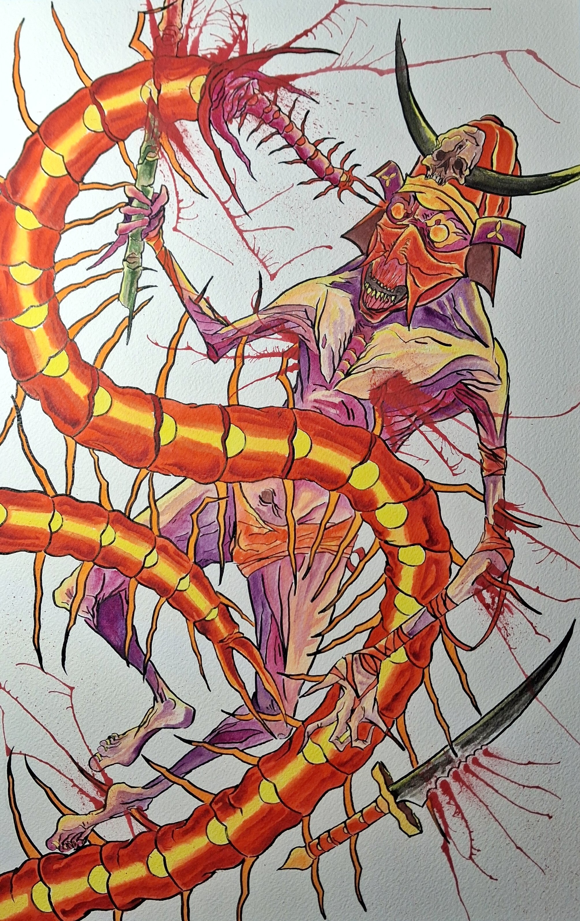 mukade vs centipede.jpeg