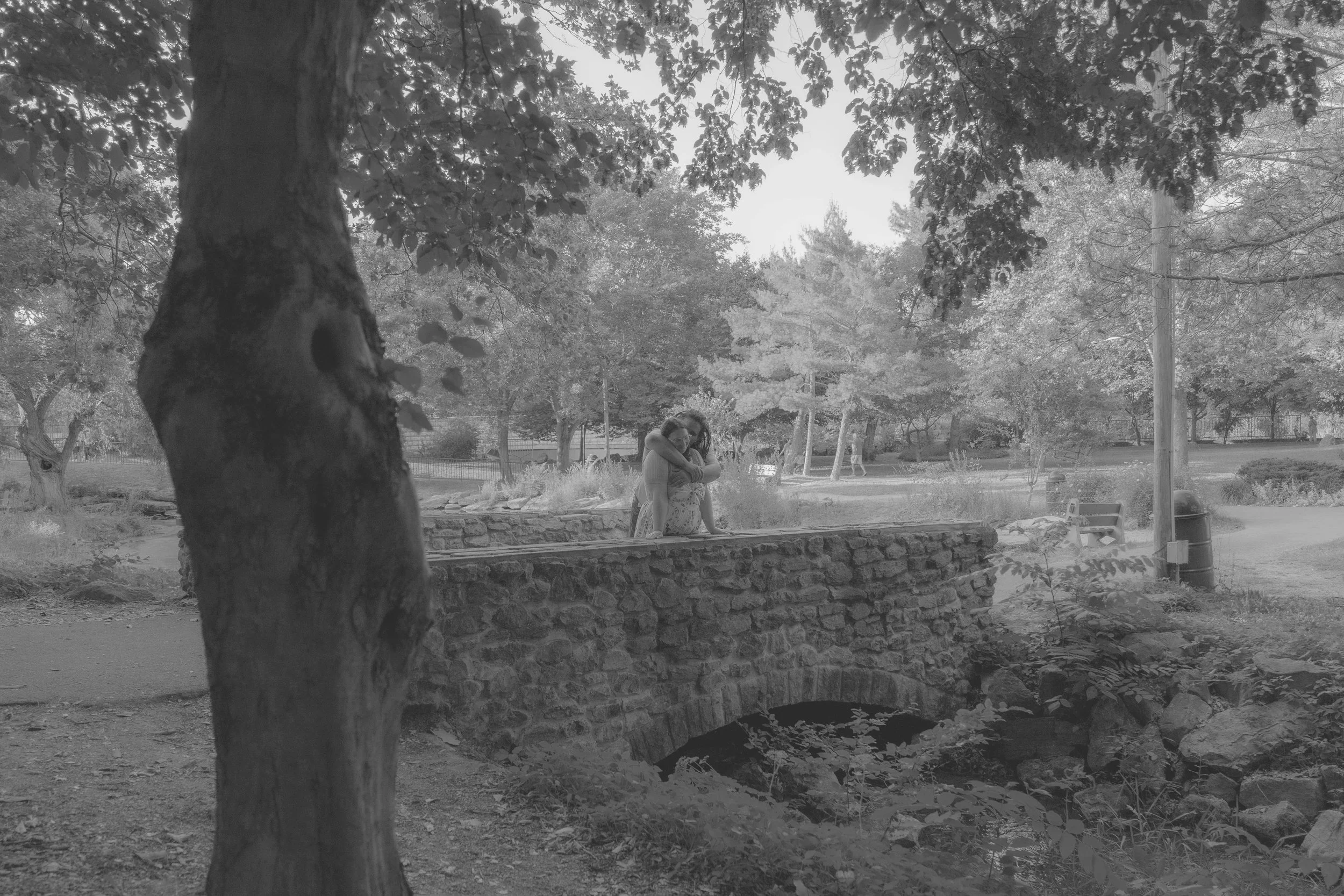 DSC00578-bw.jpg