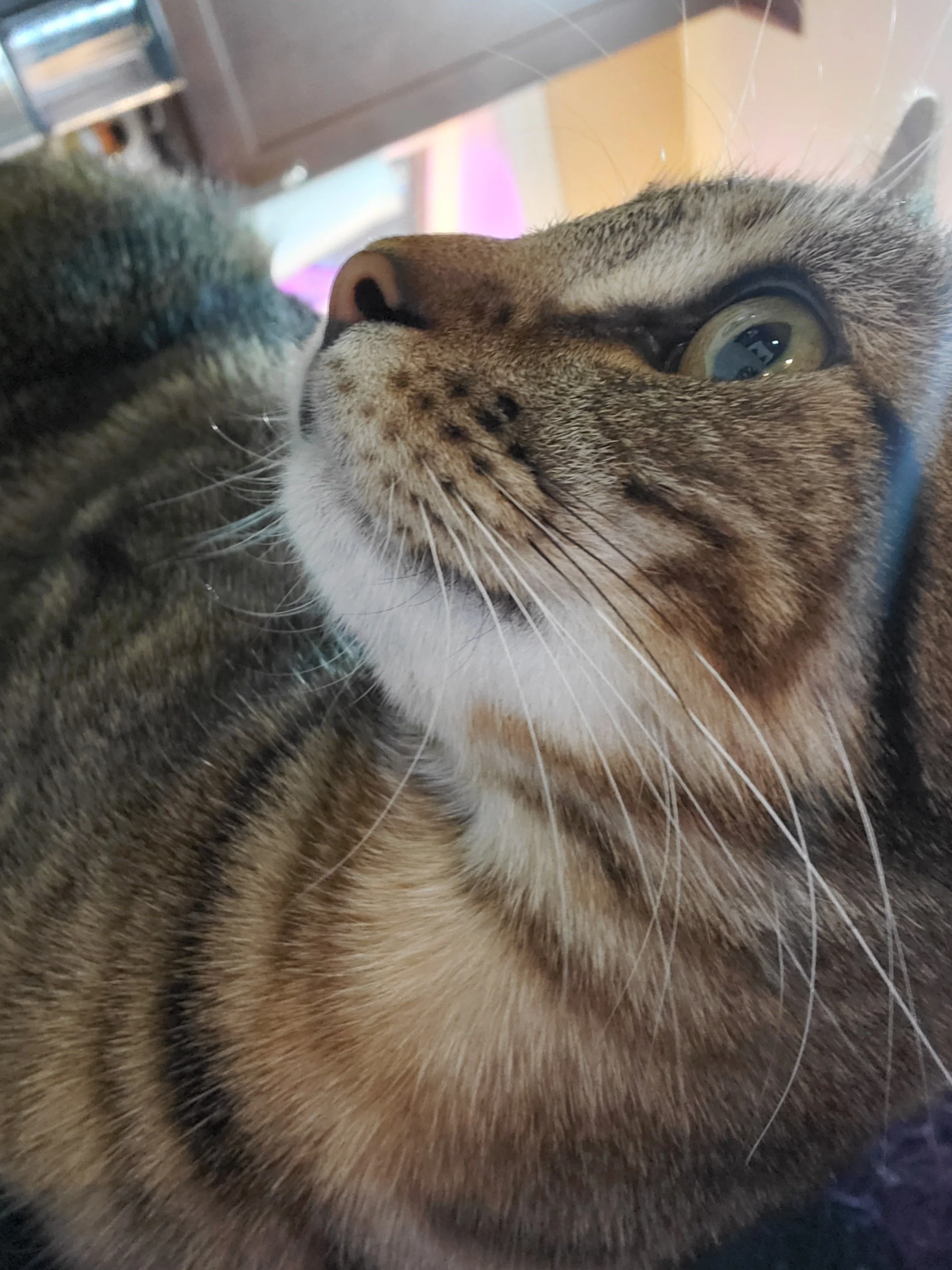 EddyAnne, the troublemaker