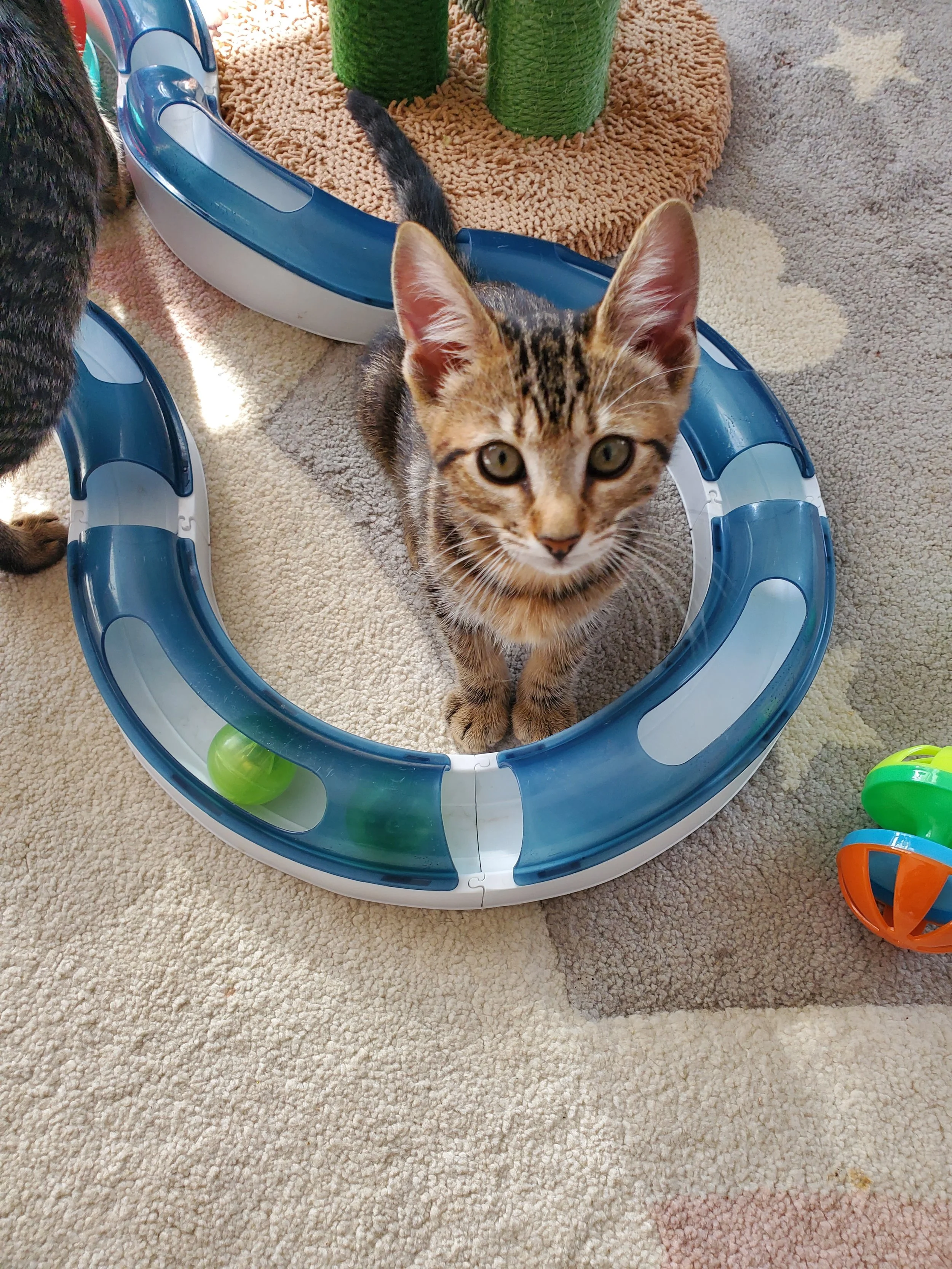 EddyAnne, the troublemaker