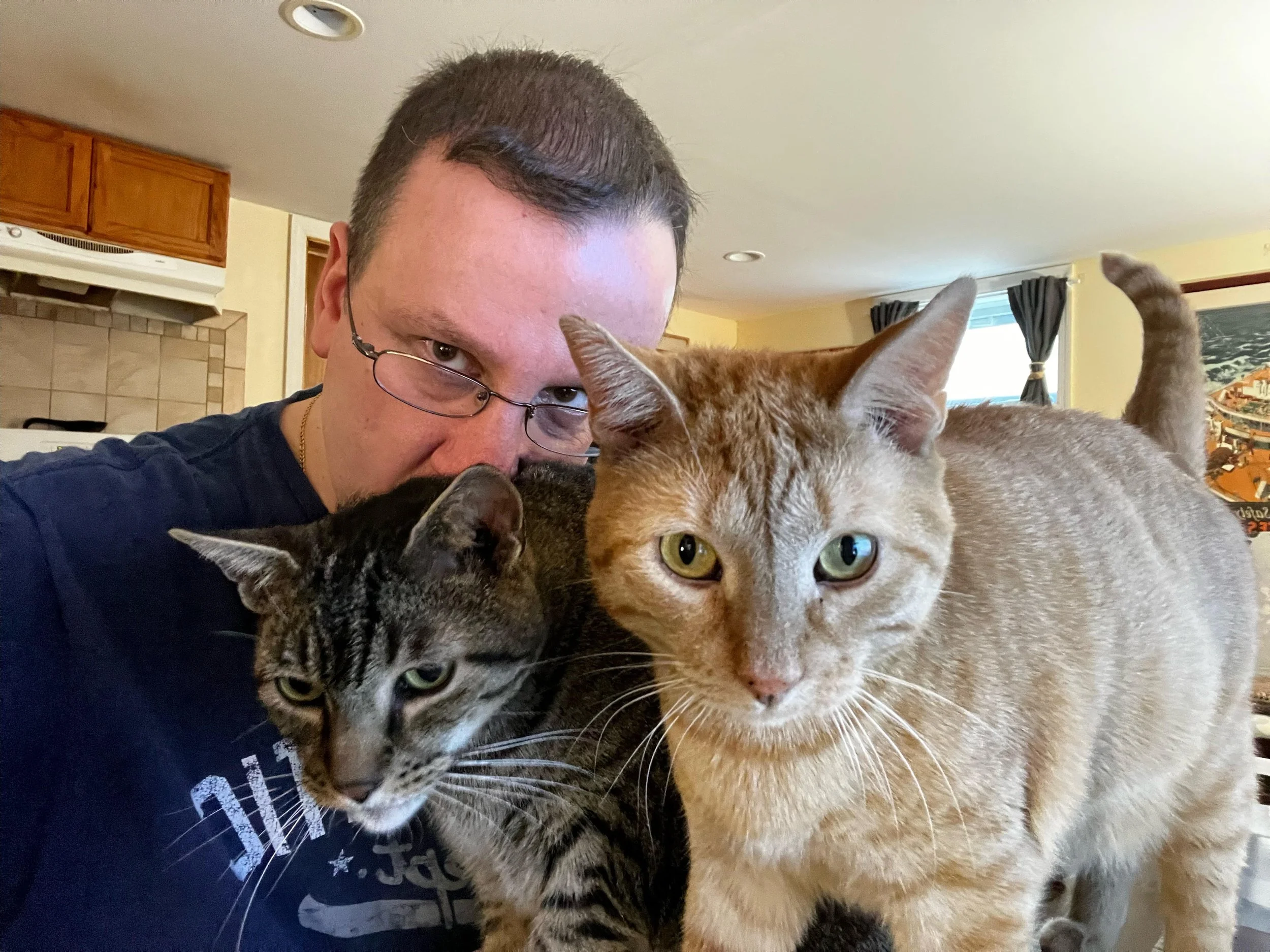 A man with glasses and short hair taking a selfie with two cats: a tabby cat and an orange cat, inside a home with a kitchen and living room visible in the background.
