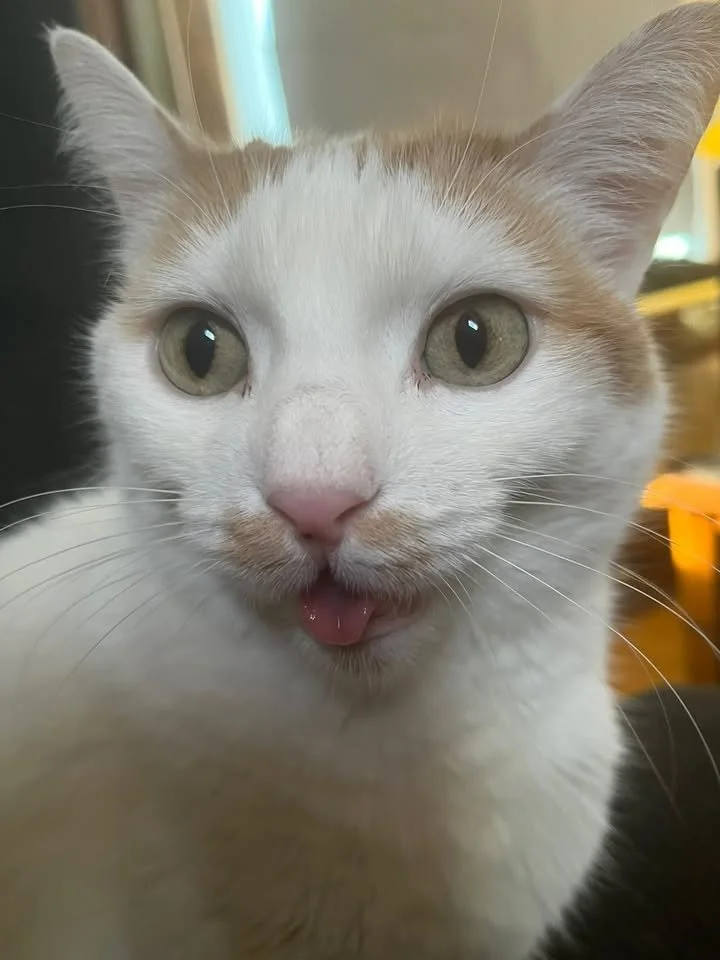 Baby Tongue Out 
(Parent: Mary Watkins)