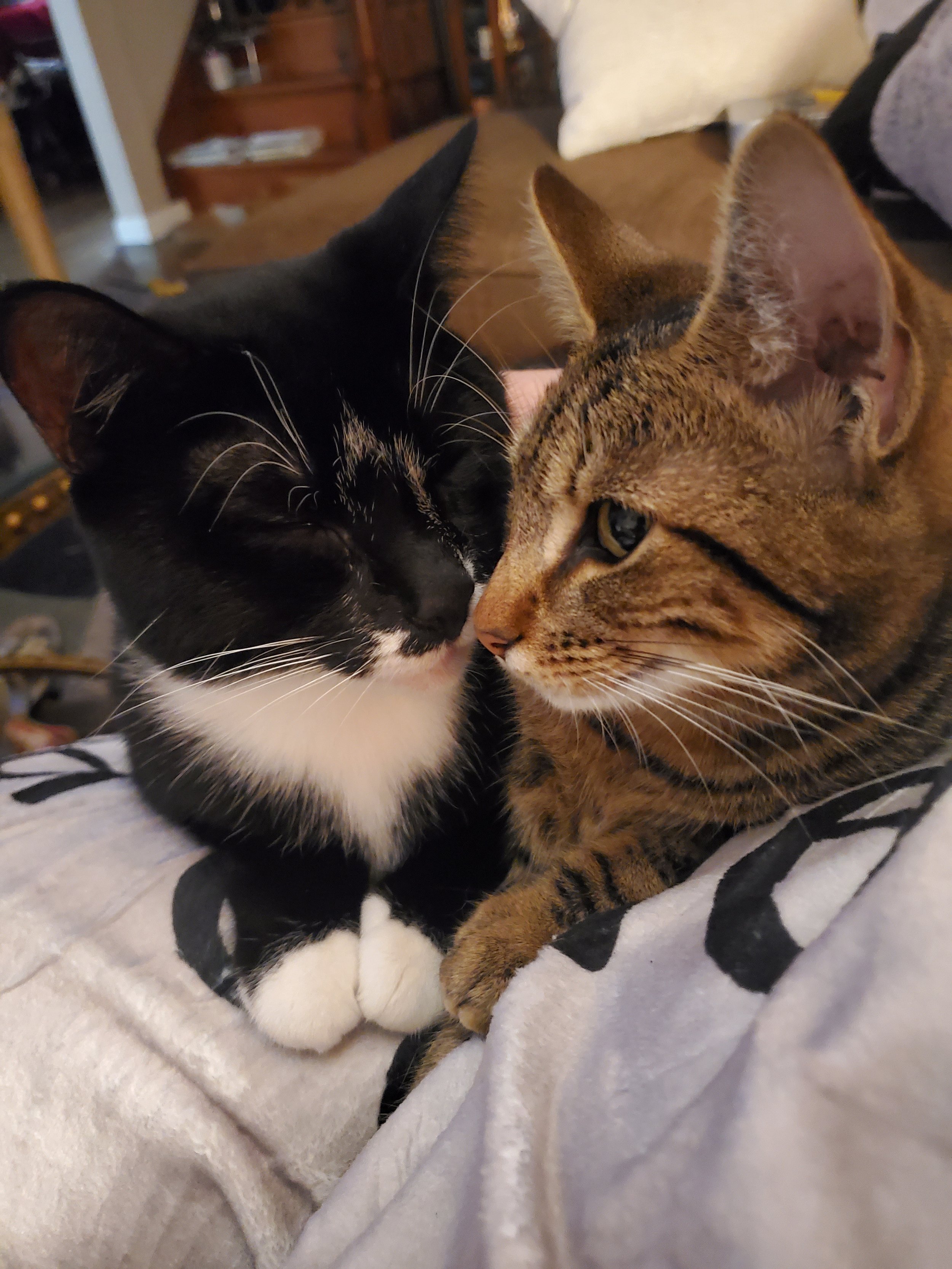 Delilah and EddyAnne