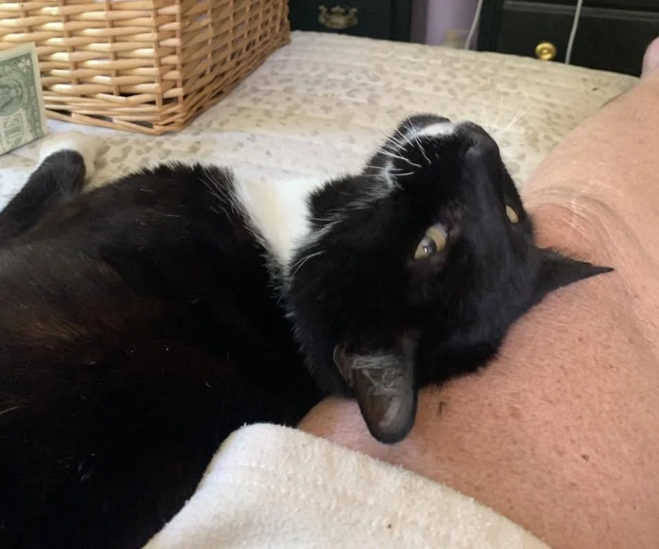 Luke Relaxing 
(Parent: Laurie Trebino)