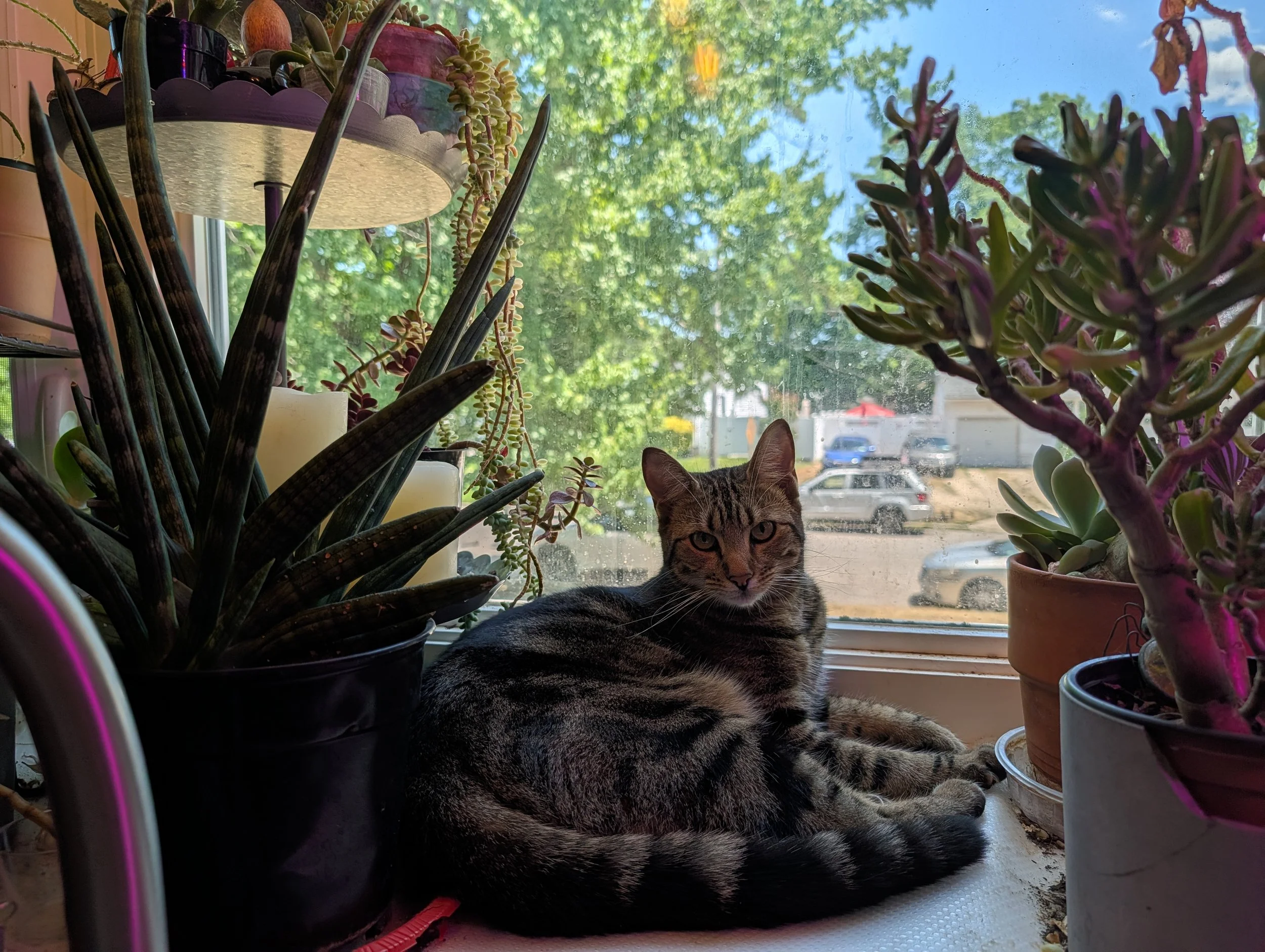 EddyAnne, the troublemaker