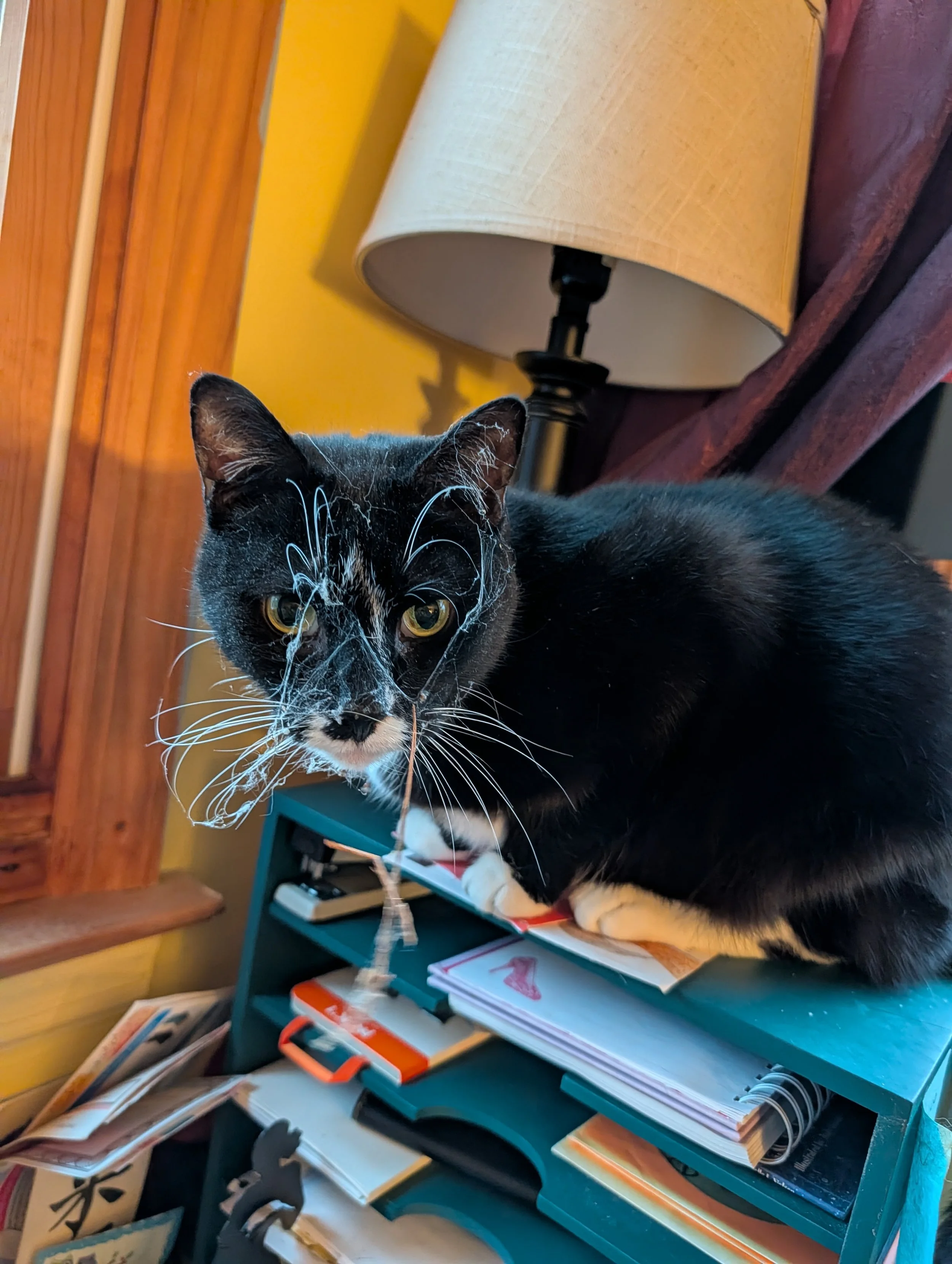 Delilah