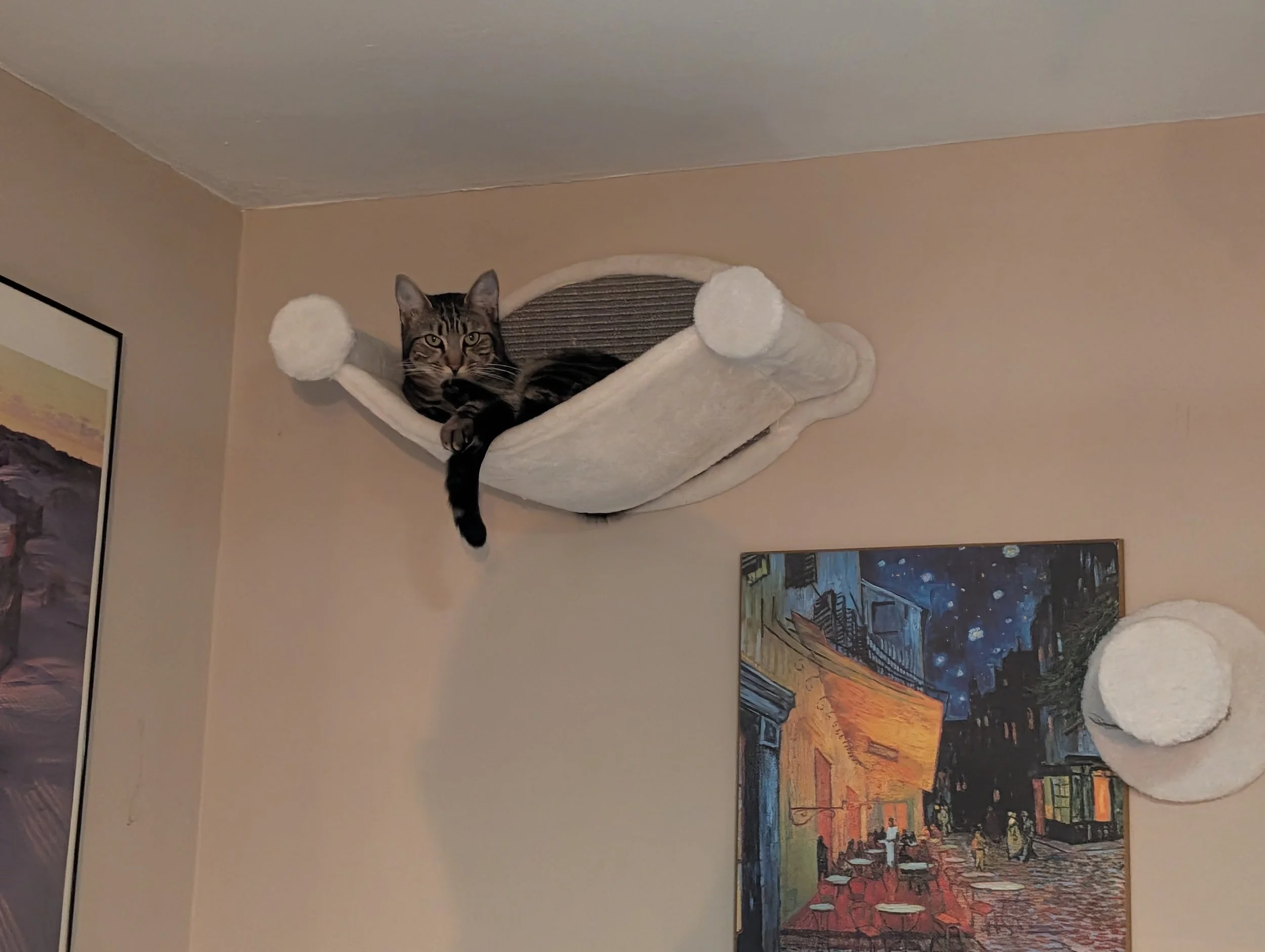 EddyAnne, the troublemaker