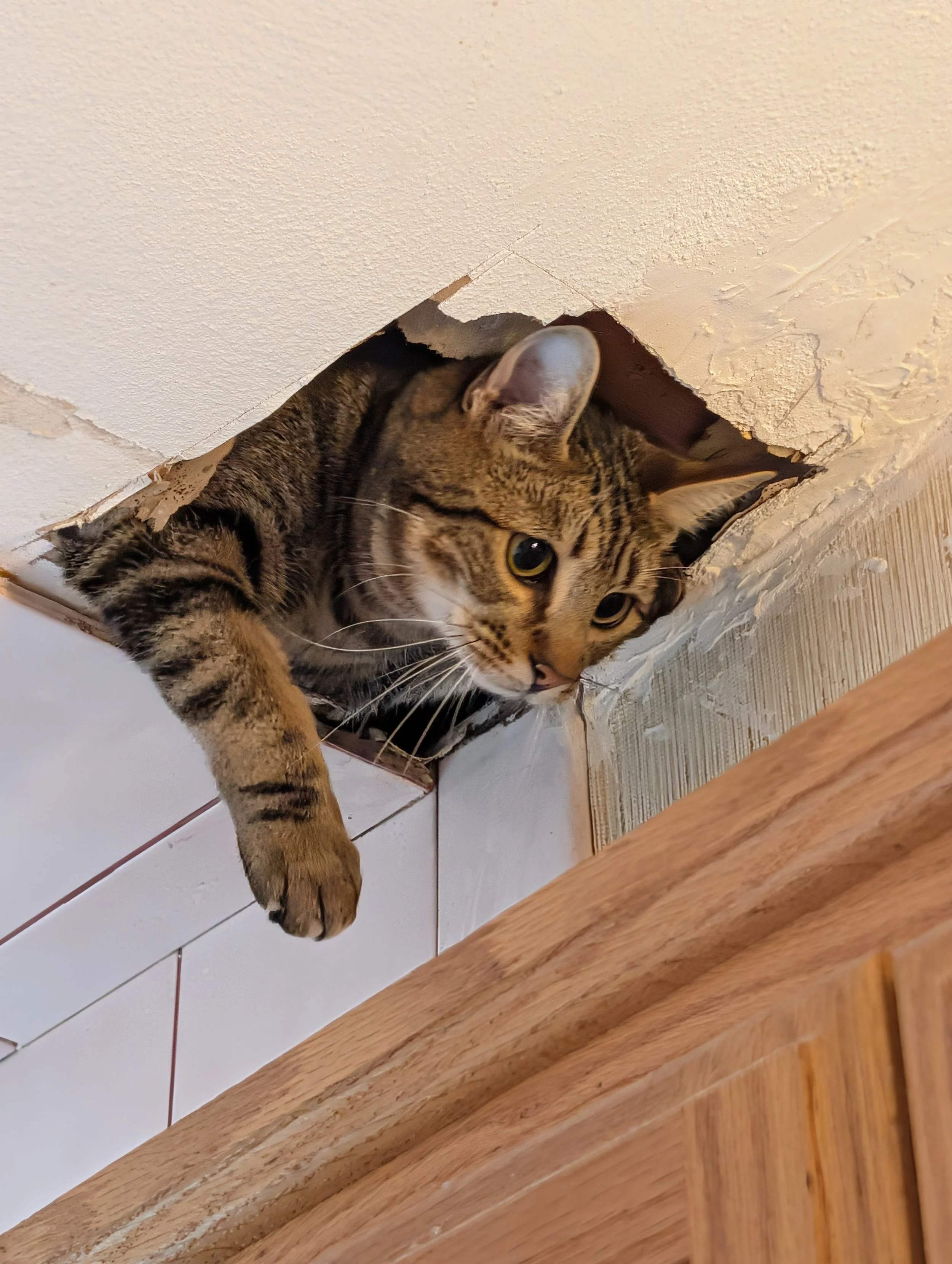 EddyAnne, the troublemaker