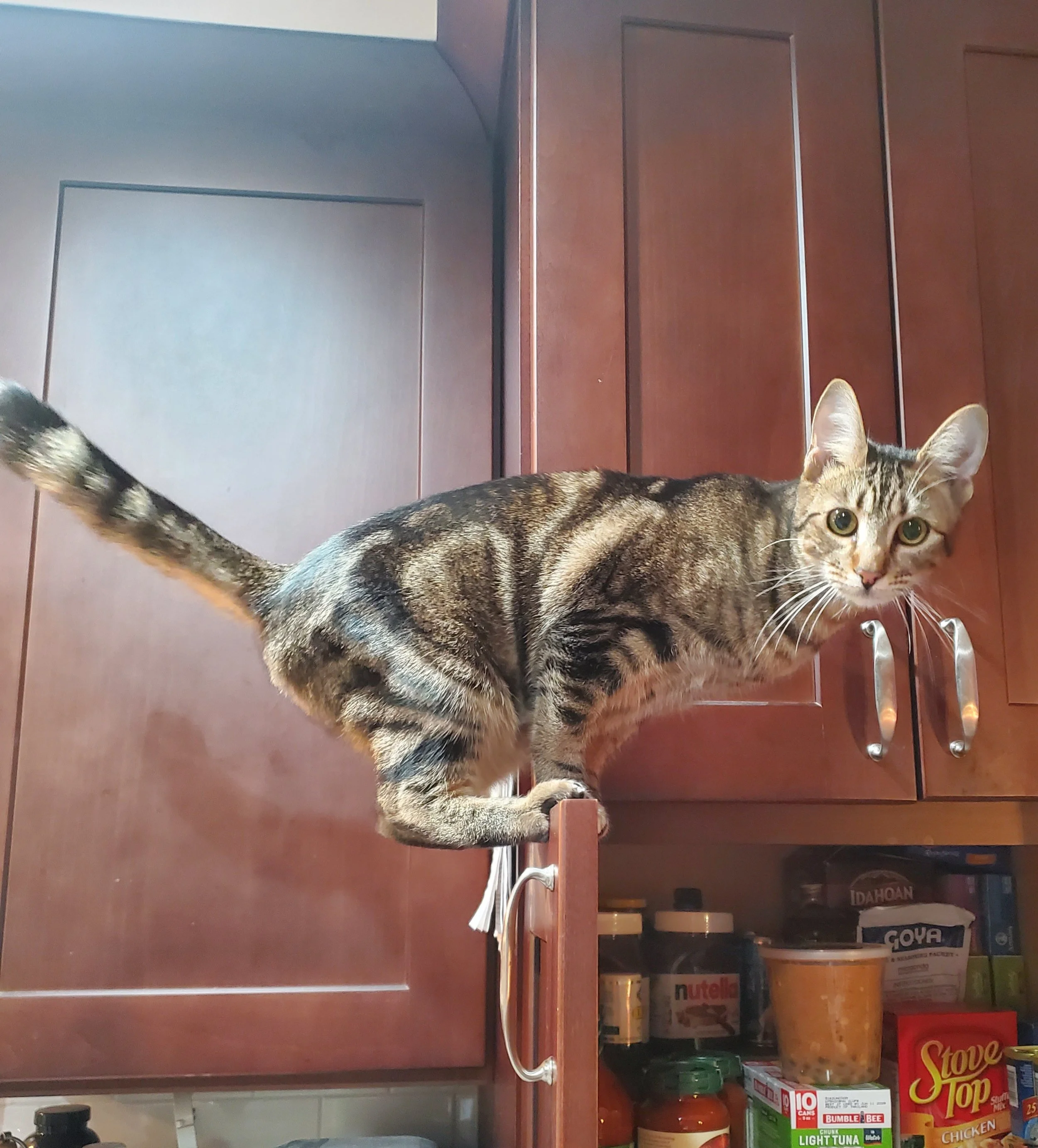 EddyAnne, the troublemaker