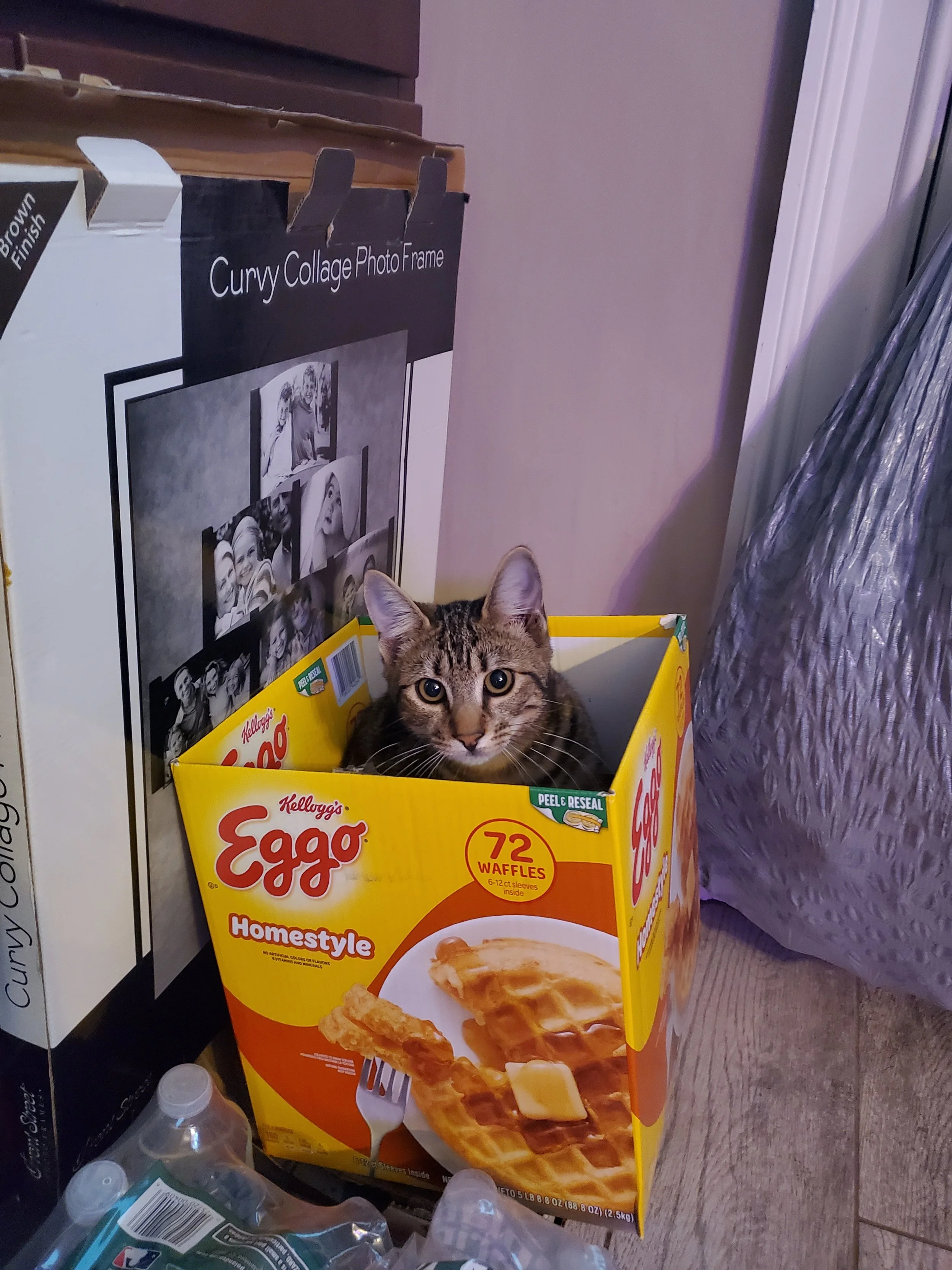 EddyAnne, the troublemaker