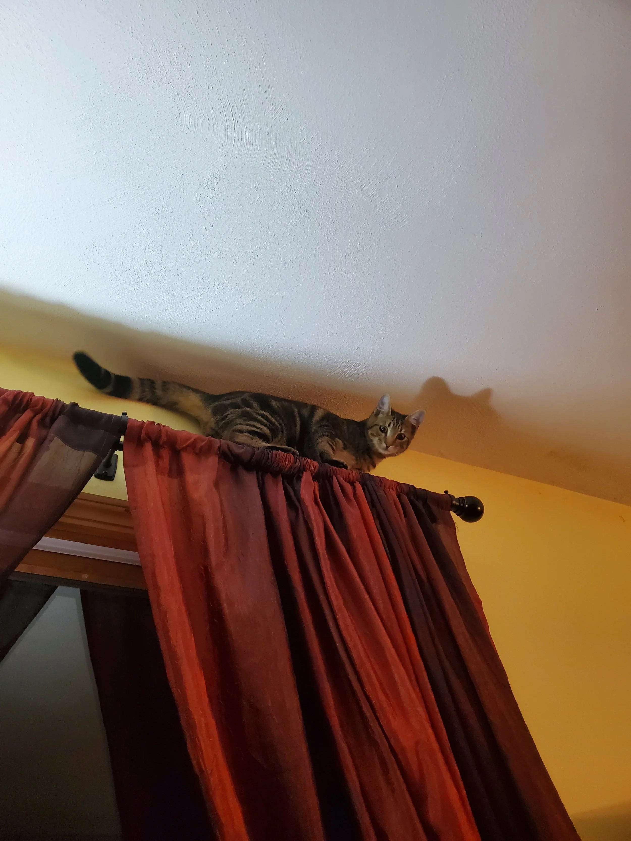 EddyAnne, the troublemaker