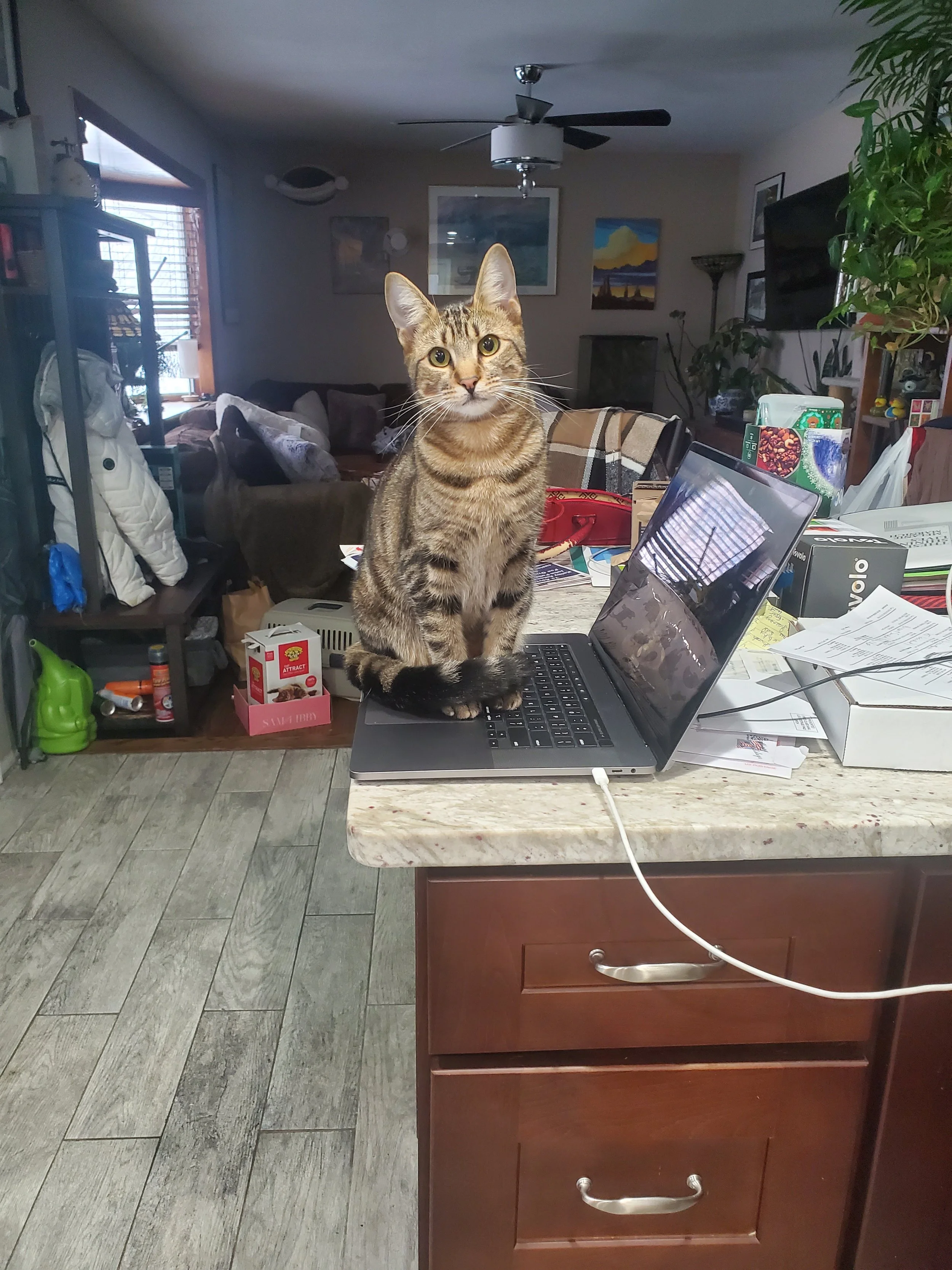EddyAnne, the troublemaker