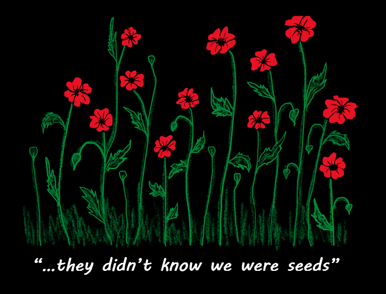 Red poppy flowers on a black background with the quote they didn't know we were seeds, a Palestine solidarity t-shirt design